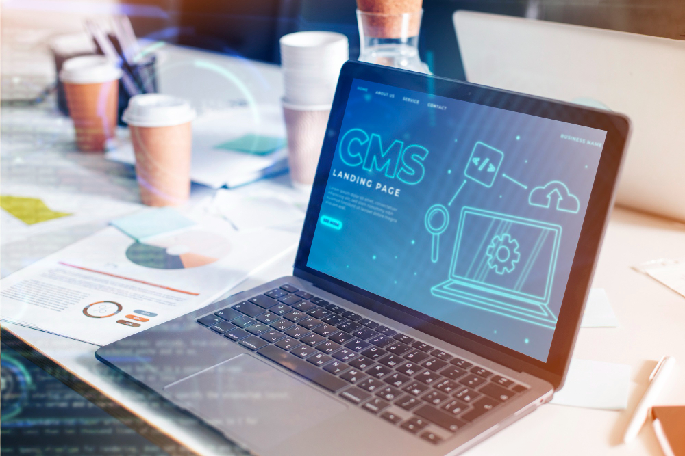 Web Development Company in Saudi Arabia 6 cms